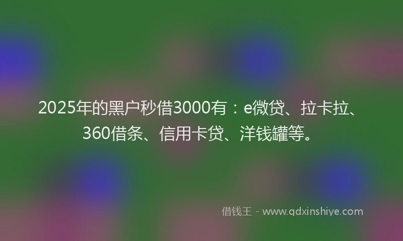 2025年的黑户秒借3000有：e微贷、拉卡拉、360借条、信用卡贷、洋钱罐等。