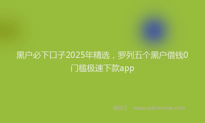 黑户必下口子2025年精选，罗列五个黑户借钱0门槛极速下款app