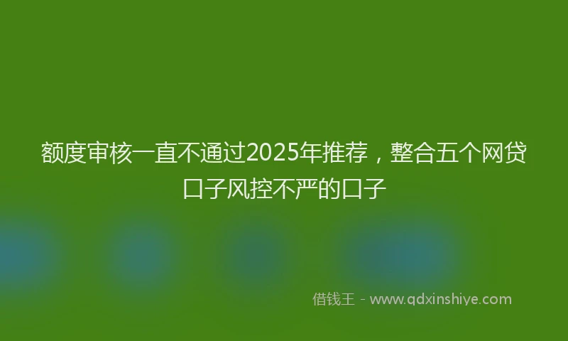 额度审核一直不通过2025年推荐，整合五个网贷口子风控不严的口子