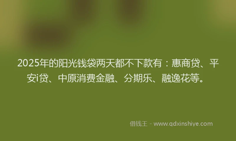 2025年的阳光钱袋两天都不下款有：惠商贷、平安i贷、中原消费金融、分期乐、融逸花等。