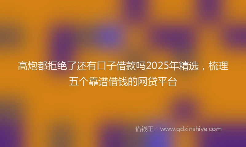 高炮都拒绝了还有口子借款吗2025年精选，梳理五个靠谱借钱的网贷平台
