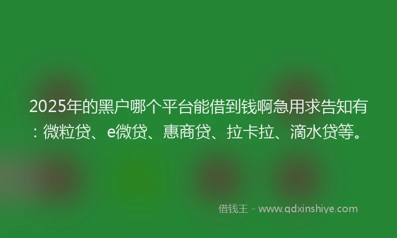2025年的黑户哪个平台能借到钱啊急用求告知有：微粒贷、e微贷、惠商贷、拉卡拉、滴水贷等。
