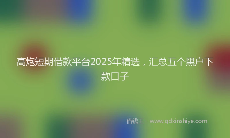 高炮短期借款平台2025年精选，汇总五个黑户下款口子