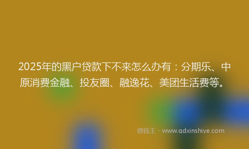 2025年的黑户贷款下不来怎么办有：分期乐、中原消费金融、投友圈、融逸花、美团生活费等。