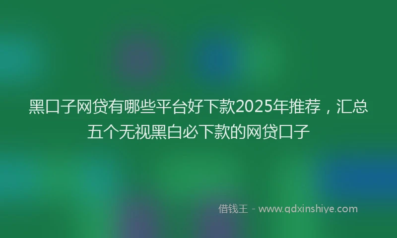 黑口子网贷有哪些平台好下款2025年推荐，汇总五个无视黑白必下款的网贷口子