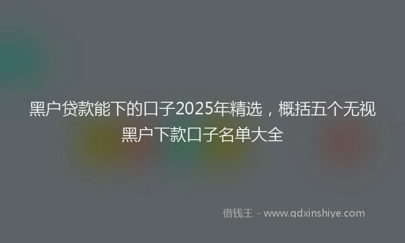黑户贷款能下的口子2025年精选，概括五个无视黑户下款口子名单大全