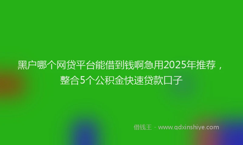 黑户哪个网贷平台能借到钱啊急用2025年推荐，整合5个公积金快速贷款口子