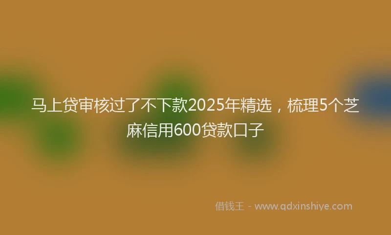 马上贷审核过了不下款2025年精选，梳理5个芝麻信用600贷款口子