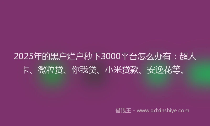 2025年的黑户烂户秒下3000平台怎么办有：超人卡、微粒贷、你我贷、小米贷款、安逸花等。