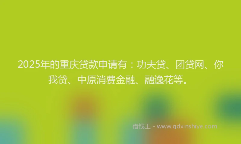2025年的重庆贷款申请有：功夫贷、团贷网、你我贷、中原消费金融、融逸花等。