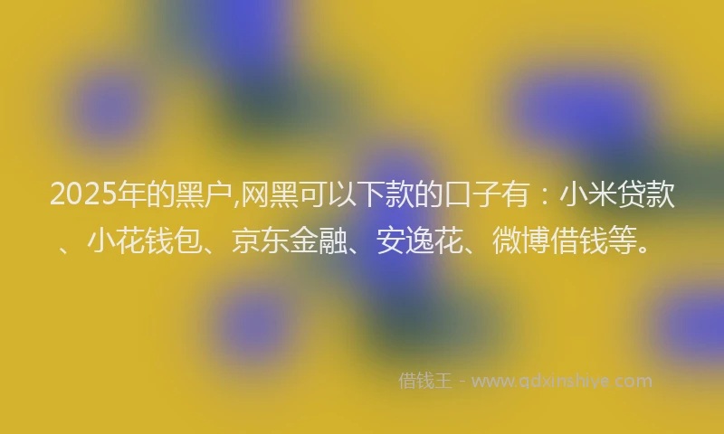 2025年的黑户,网黑可以下款的口子有：小米贷款、小花钱包、京东金融、安逸花、微博借钱等。