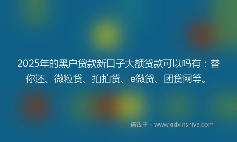 2025年的黑户贷款新口子大额贷款可以吗有：替你还、微粒贷、拍拍贷、e微贷、团贷网等。