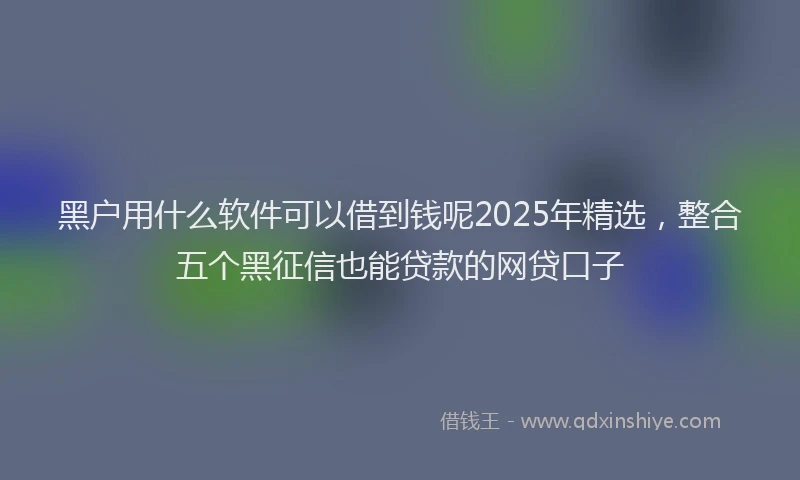 黑户用什么软件可以借到钱呢2025年精选，整合五个黑征信也能贷款的网贷口子