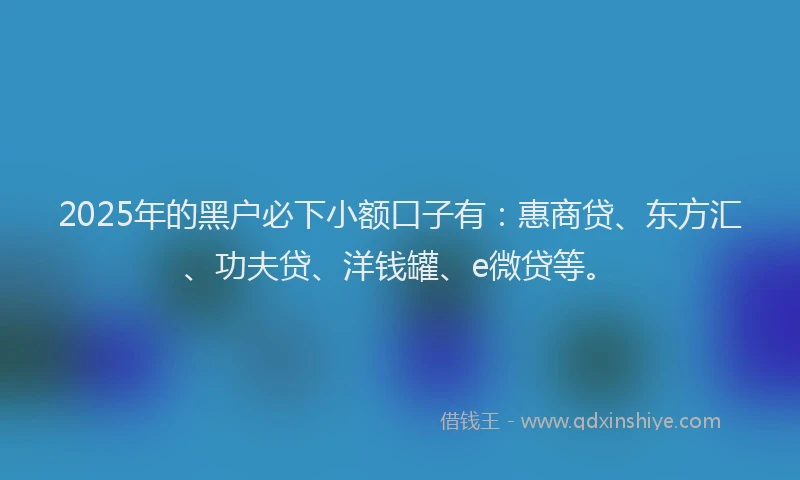 2025年的黑户必下小额口子有：惠商贷、东方汇、功夫贷、洋钱罐、e微贷等。