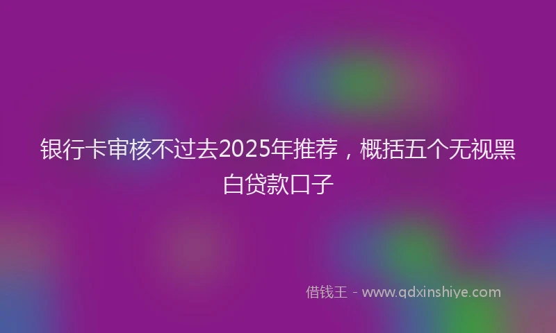 银行卡审核不过去2025年推荐，概括五个无视黑白贷款口子