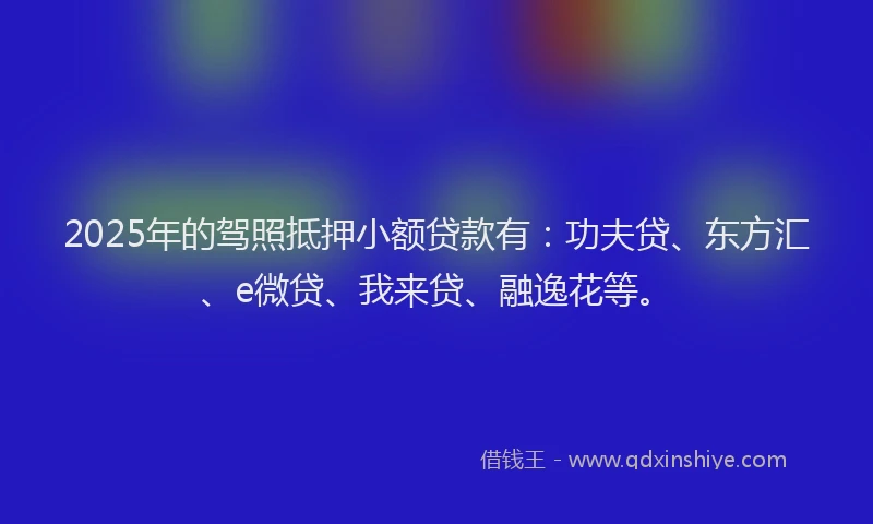 2025年的驾照抵押小额贷款有：功夫贷、东方汇、e微贷、我来贷、融逸花等。