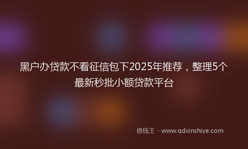 黑户办贷款不看征信包下2025年推荐，整理5个最新秒批小额贷款平台