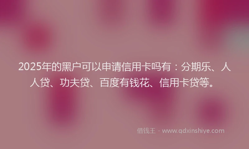 2025年的黑户可以申请信用卡吗有：分期乐、人人贷、功夫贷、百度有钱花、信用卡贷等。