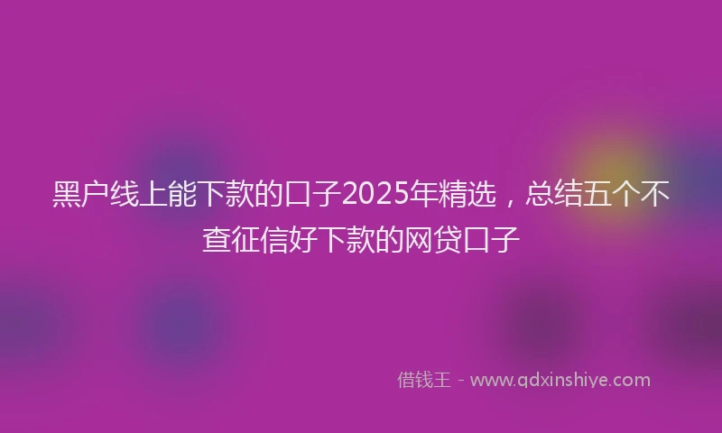 黑户线上能下款的口子2025年精选，总结五个不查征信好下款的网贷口子