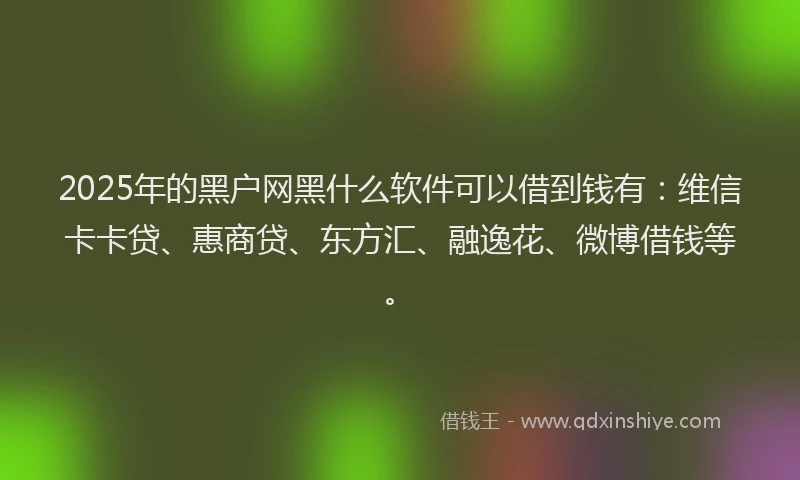 2025年的黑户网黑什么软件可以借到钱有：维信卡卡贷、惠商贷、东方汇、融逸花、微博借钱等。
