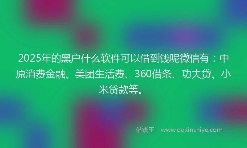 2025年的黑户什么软件可以借到钱呢微信有：中原消费金融、美团生活费、360借条、功夫贷、小米贷款等。