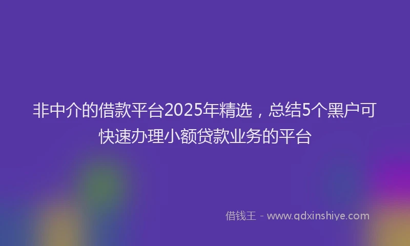 非中介的借款平台2025年精选，总结5个黑户可快速办理小额贷款业务的平台
