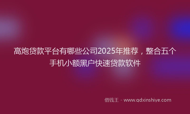 高炮贷款平台有哪些公司2025年推荐，整合五个手机小额黑户快速贷款软件