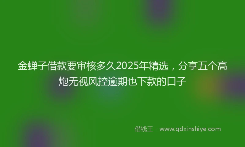 金蝉子借款要审核多久2025年精选，分享五个高炮无视风控逾期也下款的口子