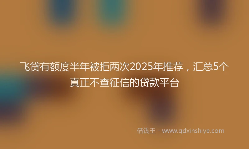 飞贷有额度半年被拒两次2025年推荐，汇总5个真正不查征信的贷款平台