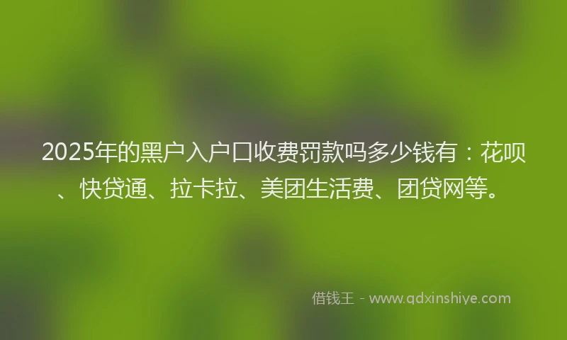2025年的黑户入户口收费罚款吗多少钱有：花呗、快贷通、拉卡拉、美团生活费、团贷网等。
