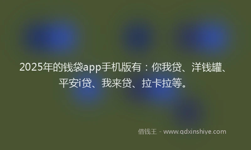 2025年的钱袋app手机版有：你我贷、洋钱罐、平安i贷、我来贷、拉卡拉等。