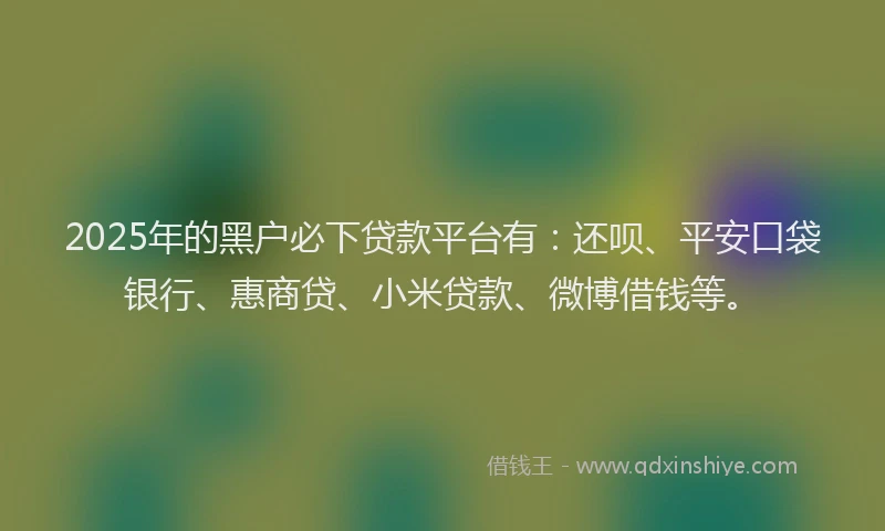2025年的黑户必下贷款平台有：还呗、平安口袋银行、惠商贷、小米贷款、微博借钱等。