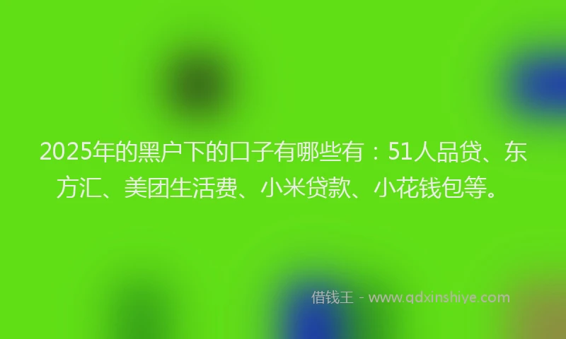 2025年的黑户下的口子有哪些有：51人品贷、东方汇、美团生活费、小米贷款、小花钱包等。