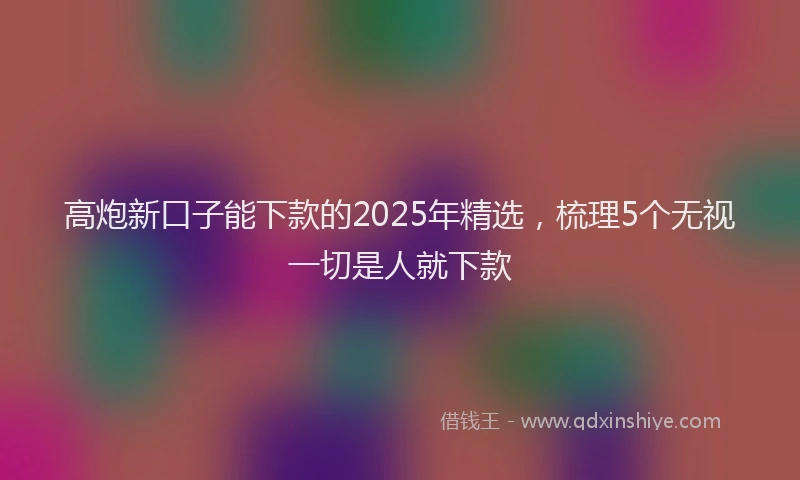 高炮新口子能下款的2025年精选，梳理5个无视一切是人就下款