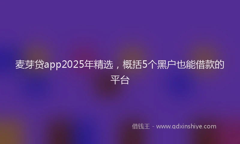 麦芽贷app2025年精选，概括5个黑户也能借款的平台