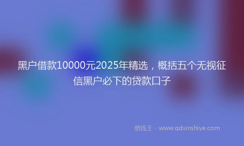 黑户借款10000元2025年精选，概括五个无视征信黑户必下的贷款口子