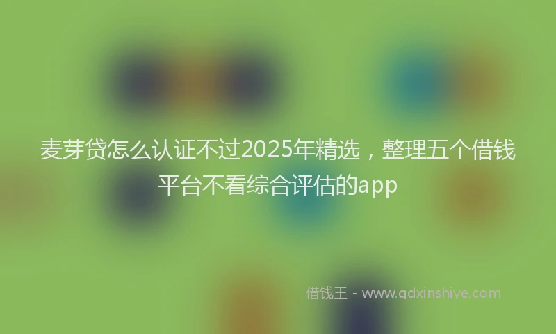 麦芽贷怎么认证不过2025年精选，整理五个借钱平台不看综合评估的app