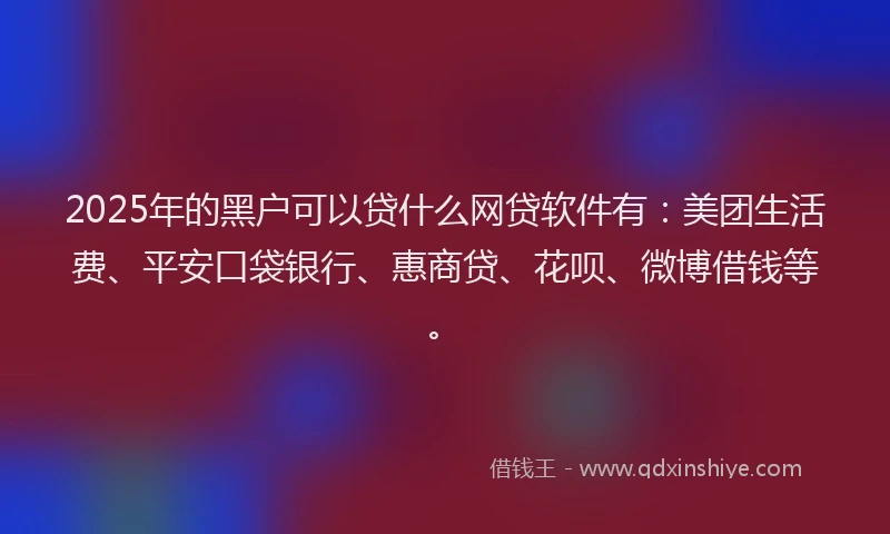2025年的黑户可以贷什么网贷软件有：美团生活费、平安口袋银行、惠商贷、花呗、微博借钱等。