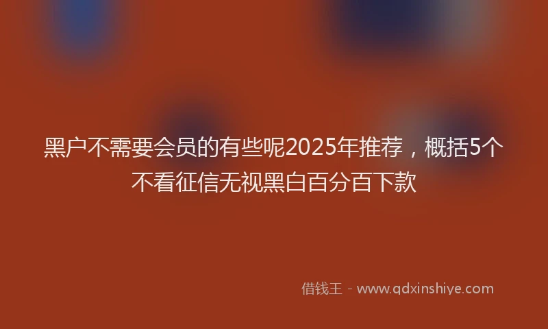 黑户不需要会员的有些呢2025年推荐，概括5个不看征信无视黑白百分百下款