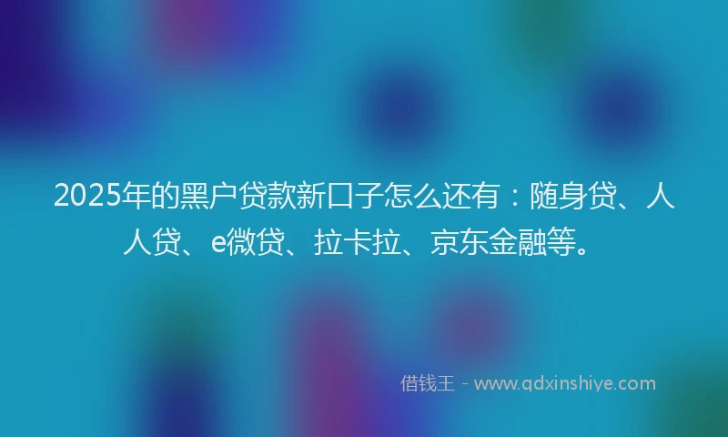 2025年的黑户贷款新口子怎么还有：随身贷、人人贷、e微贷、拉卡拉、京东金融等。