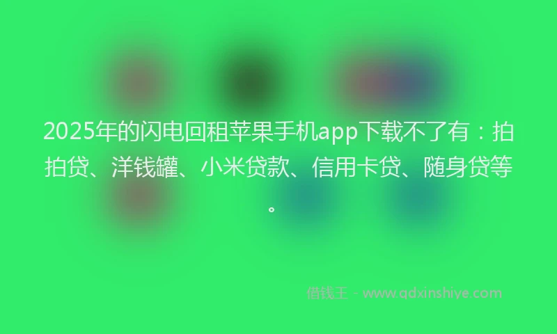 2025年的闪电回租苹果手机app下载不了有：拍拍贷、洋钱罐、小米贷款、信用卡贷、随身贷等。