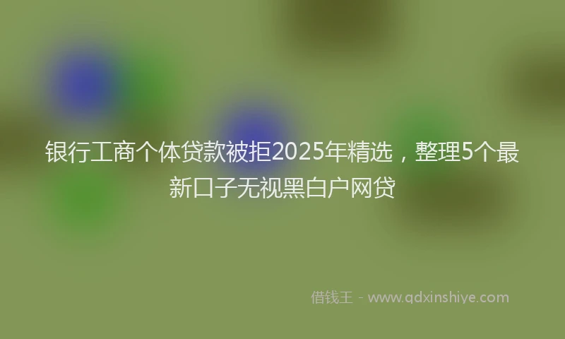 银行工商个体贷款被拒2025年精选，整理5个最新口子无视黑白户网贷