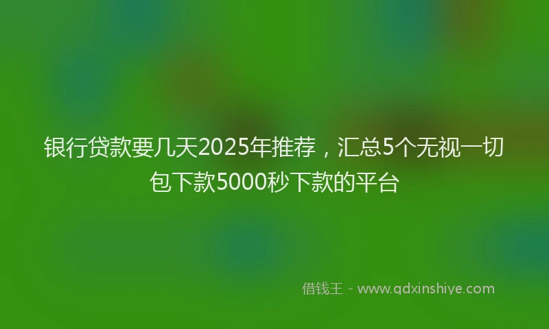 银行贷款要几天2025年推荐，汇总5个无视一切包下款5000秒下款的平台