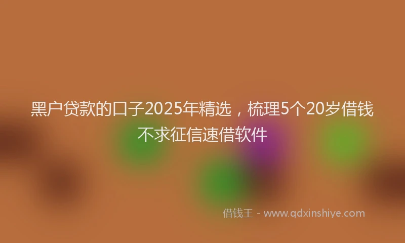 黑户贷款的口子2025年精选，梳理5个20岁借钱不求征信速借软件