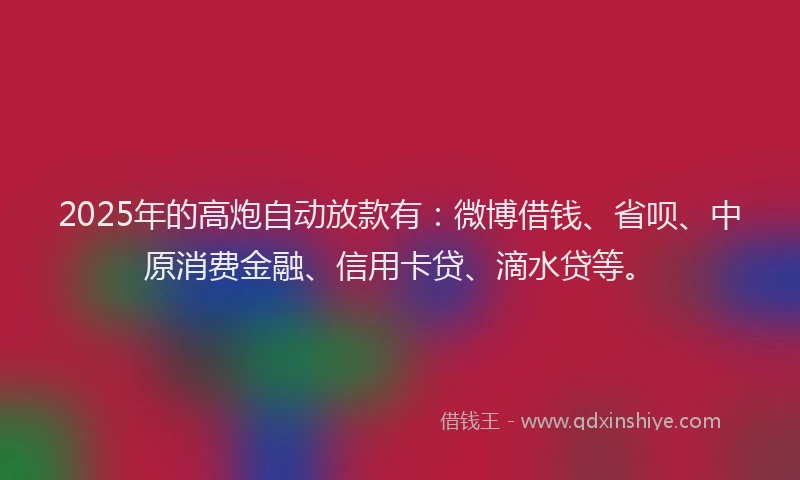 2025年的高炮自动放款有：微博借钱、省呗、中原消费金融、信用卡贷、滴水贷等。