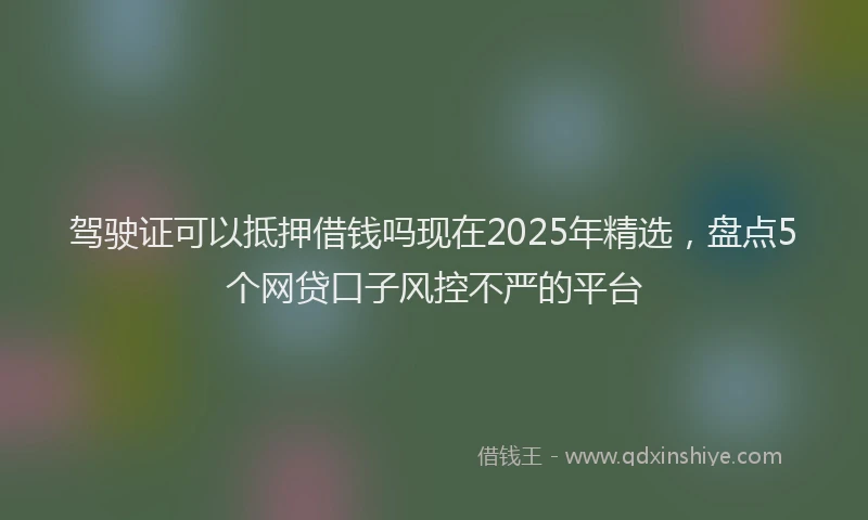 驾驶证可以抵押借钱吗现在2025年精选，盘点5个网贷口子风控不严的平台