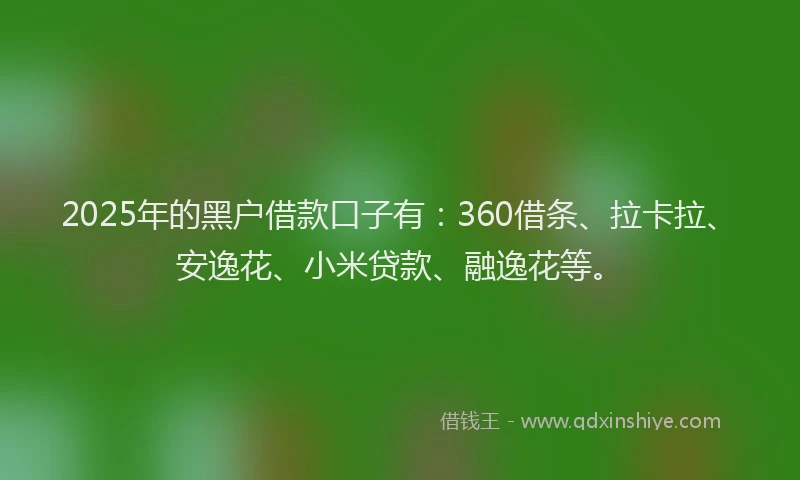 2025年的黑户借款口子有：360借条、拉卡拉、安逸花、小米贷款、融逸花等。