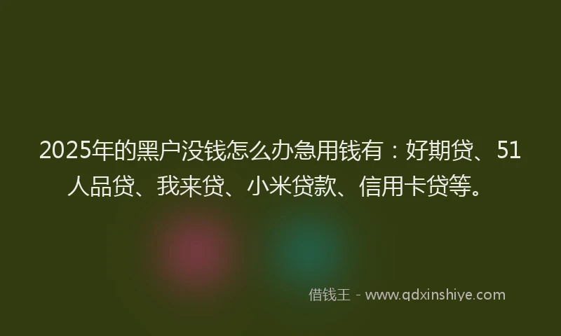2025年的黑户没钱怎么办急用钱有：好期贷、51人品贷、我来贷、小米贷款、信用卡贷等。