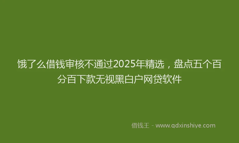 饿了么借钱审核不通过2025年精选，盘点五个百分百下款无视黑白户网贷软件