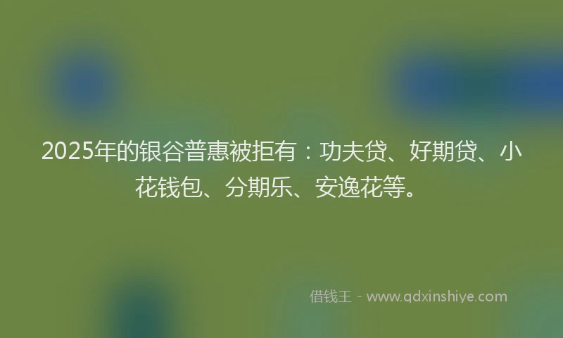 2025年的银谷普惠被拒有：功夫贷、好期贷、小花钱包、分期乐、安逸花等。